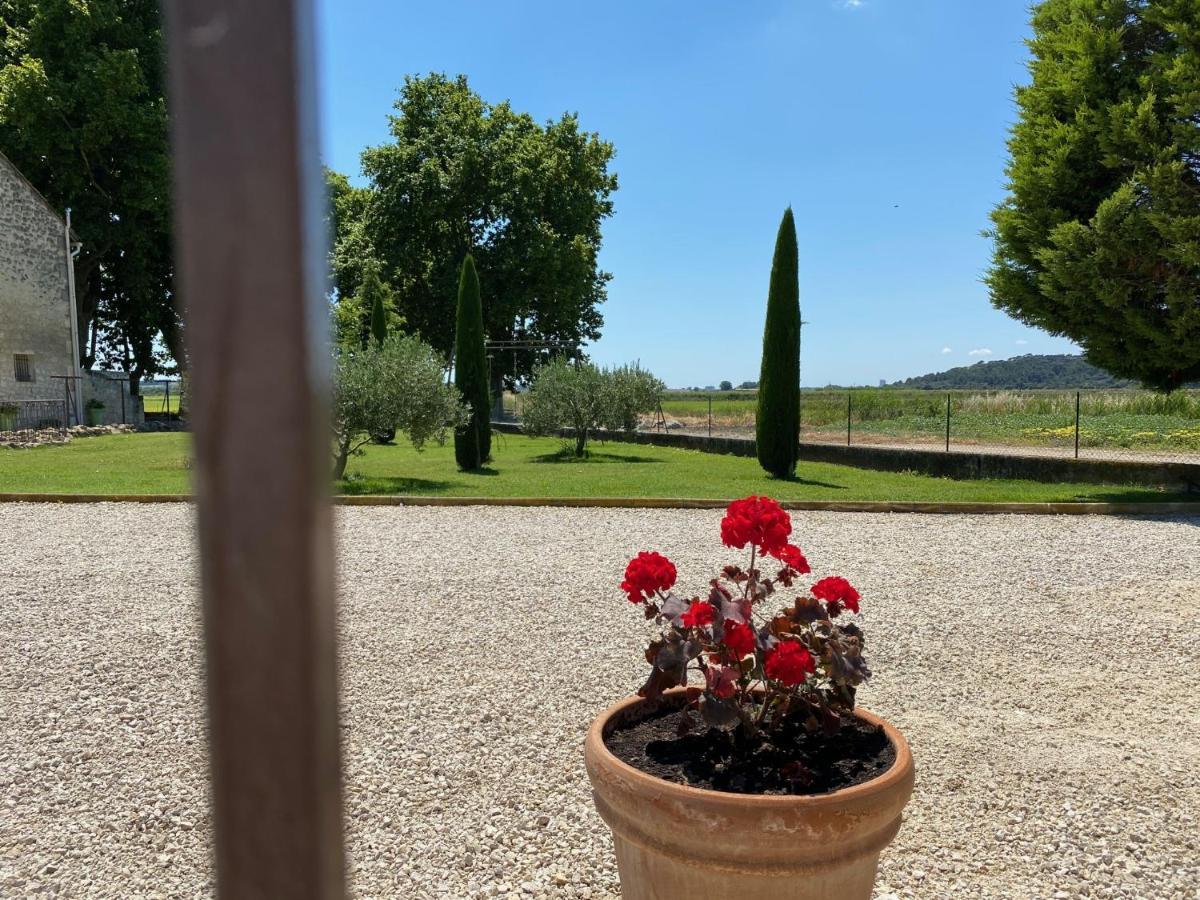 Le Domaine De Laforest Fontvieille Eksteriør billede