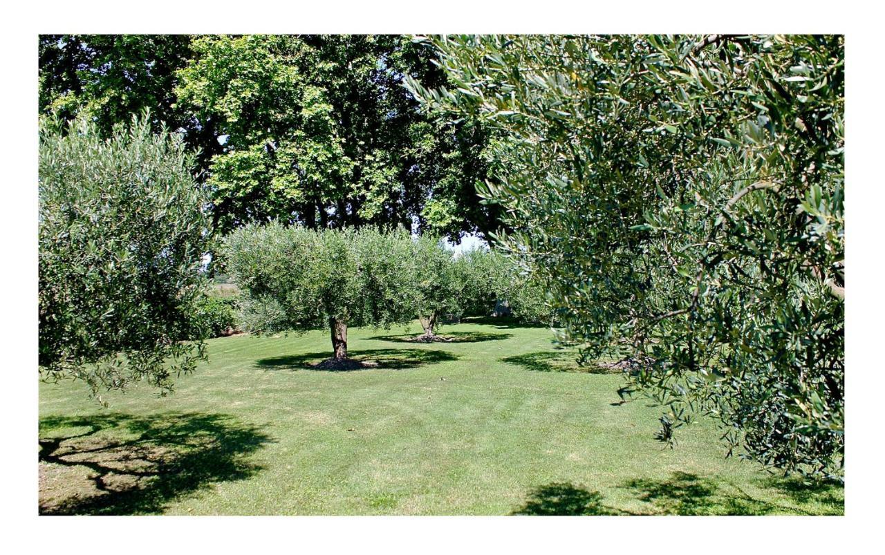 Le Domaine De Laforest Fontvieille Eksteriør billede