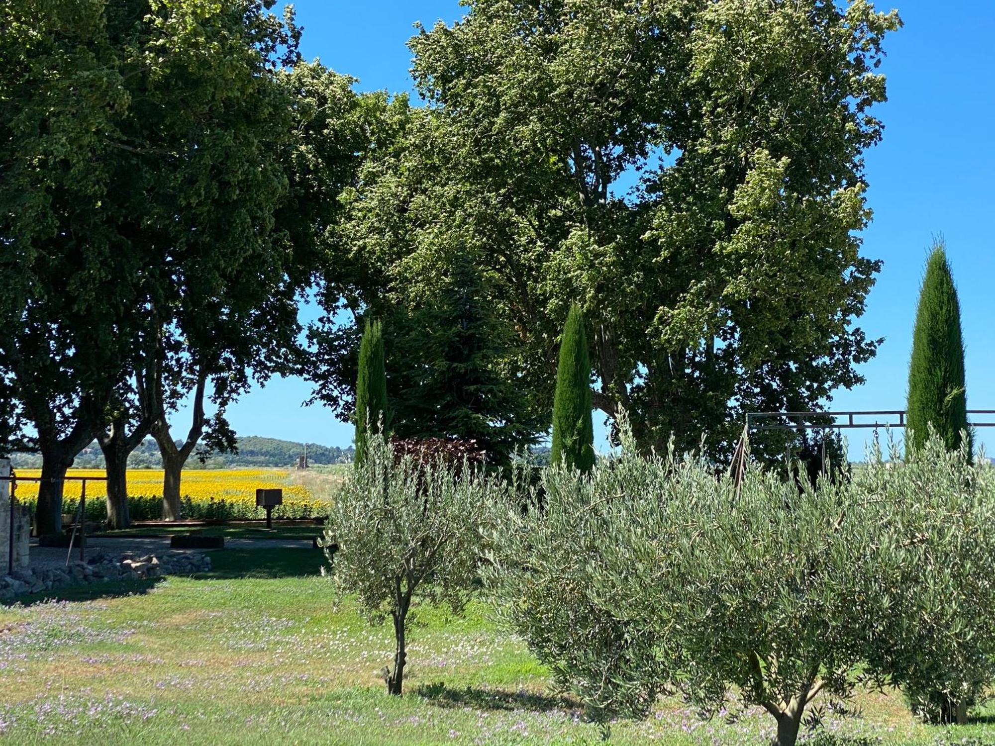 Le Domaine De Laforest Fontvieille Eksteriør billede