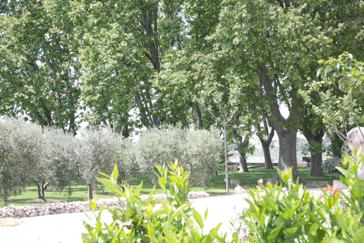 Le Domaine De Laforest Fontvieille Eksteriør billede