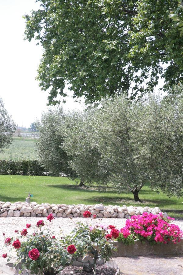 Le Domaine De Laforest Fontvieille Eksteriør billede